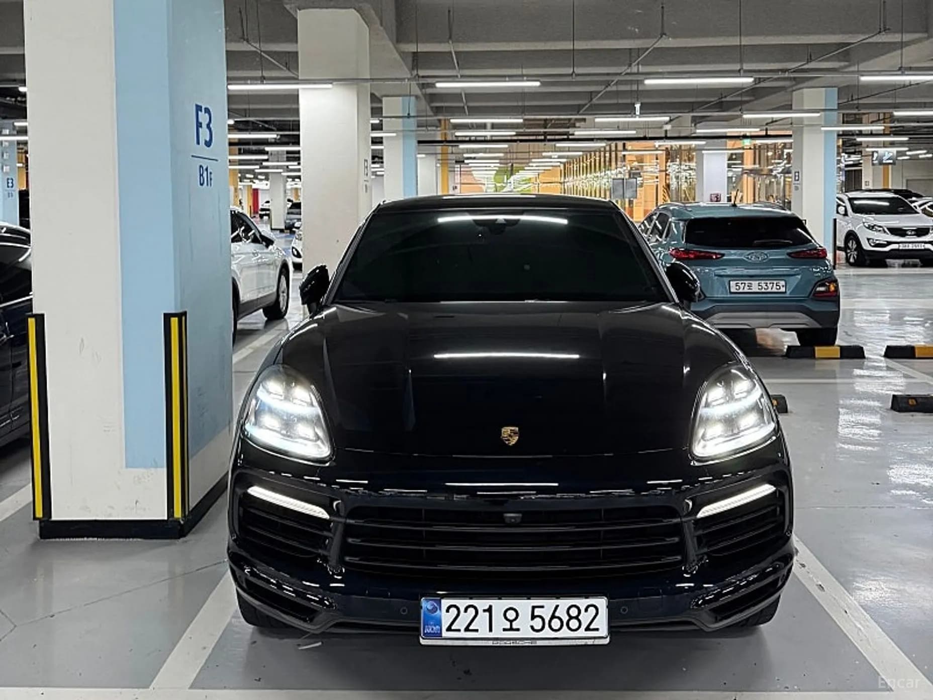 Cayenne (PO536)