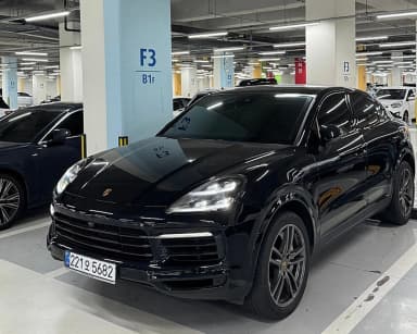 Cayenne (PO536)