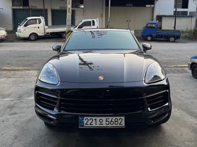 Cayenne (PO536)