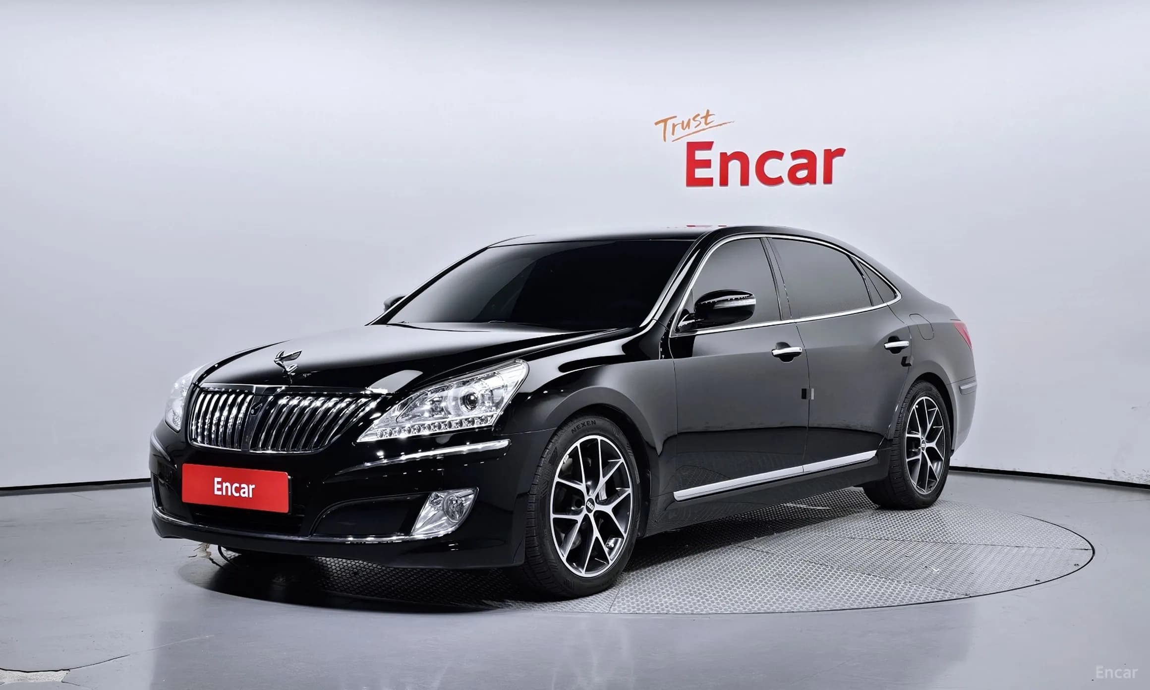Equus (new)