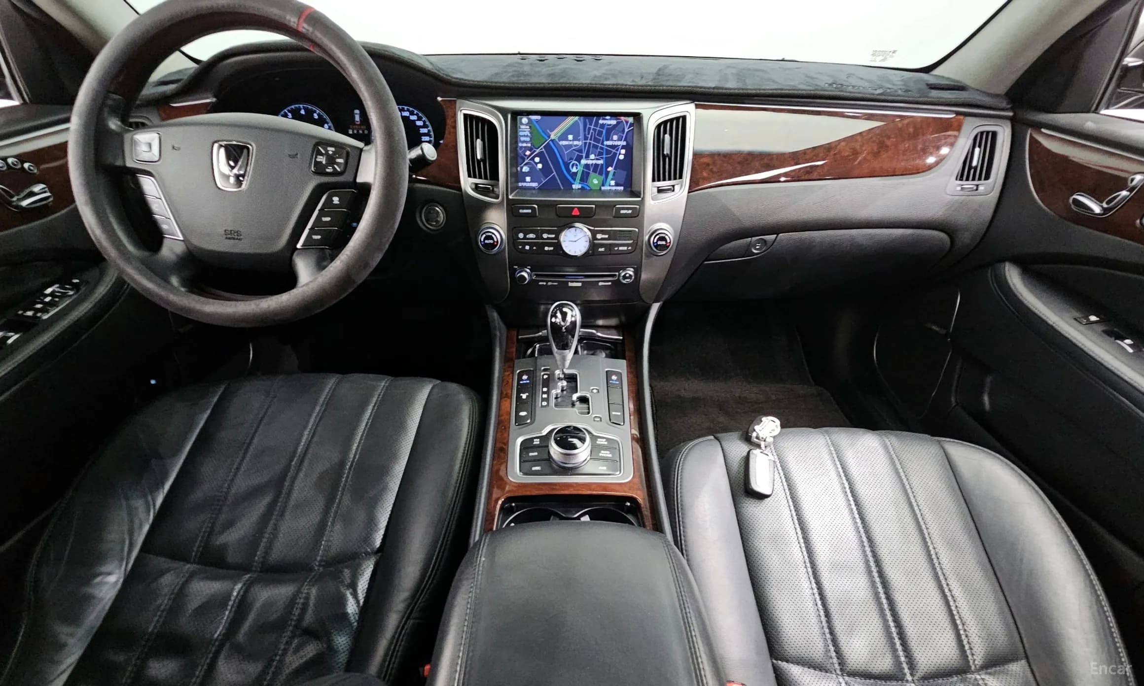 Equus (new)