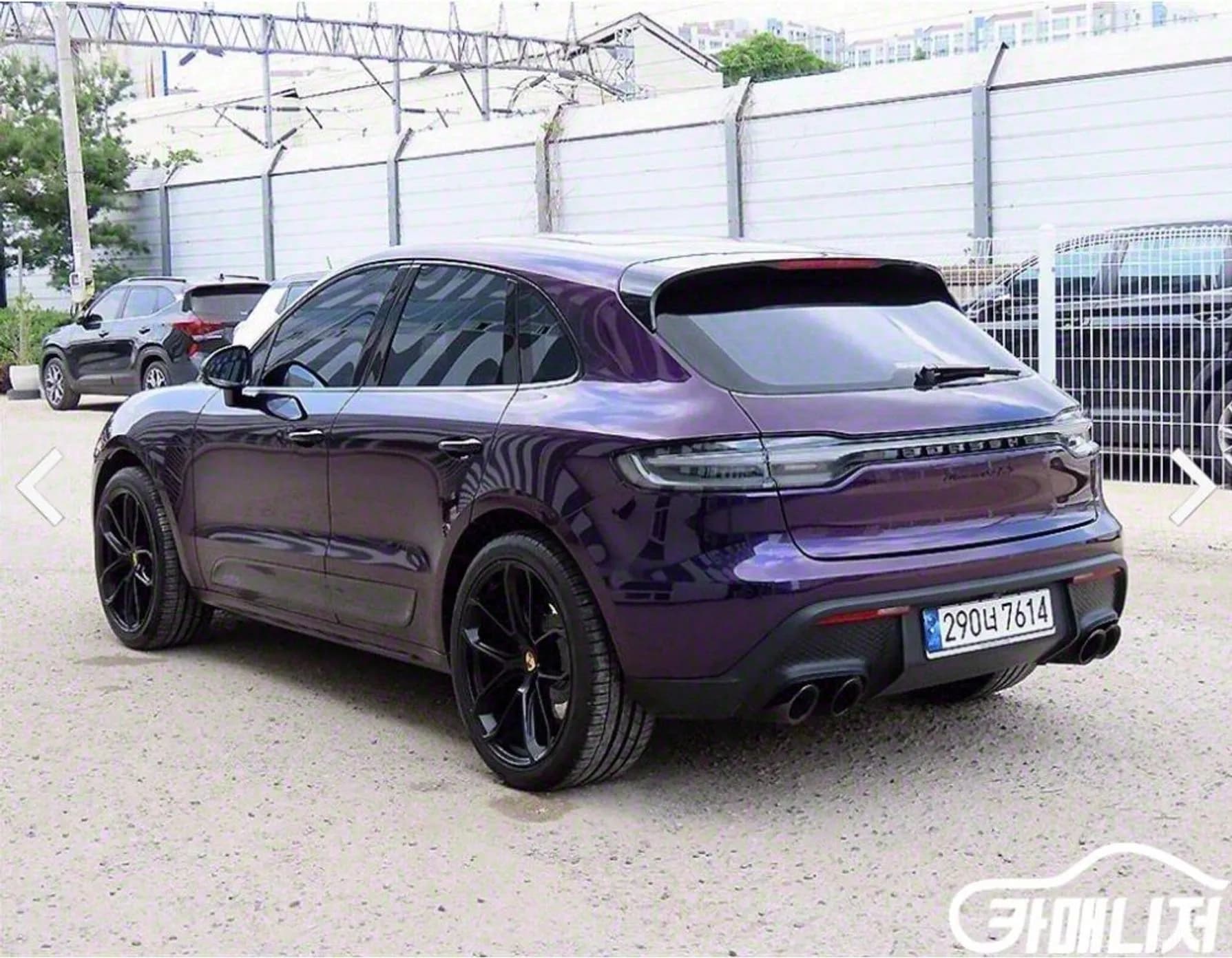 Macan