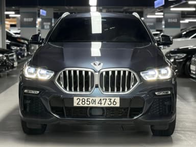 X6 (G06)