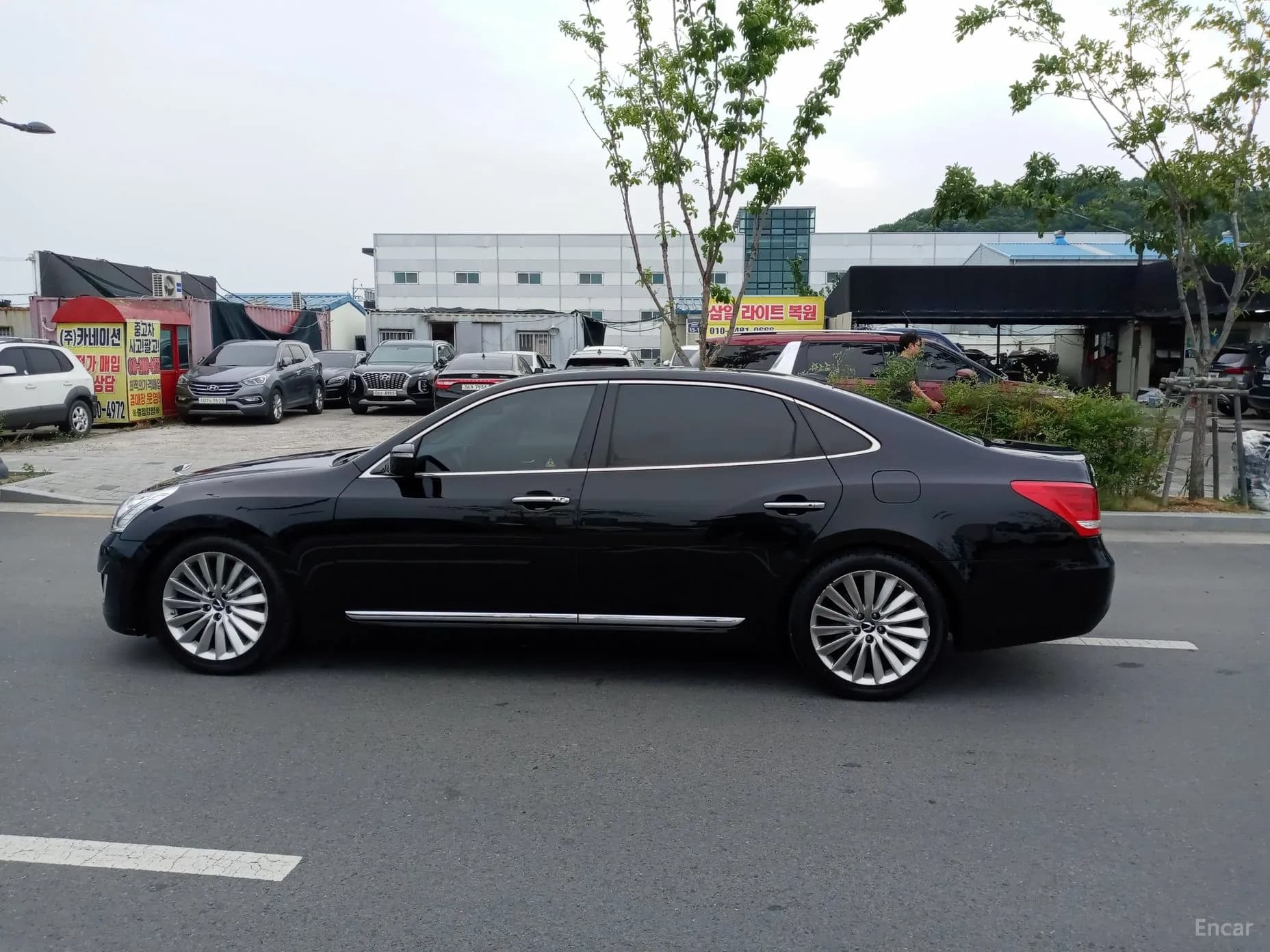 Equus (new)