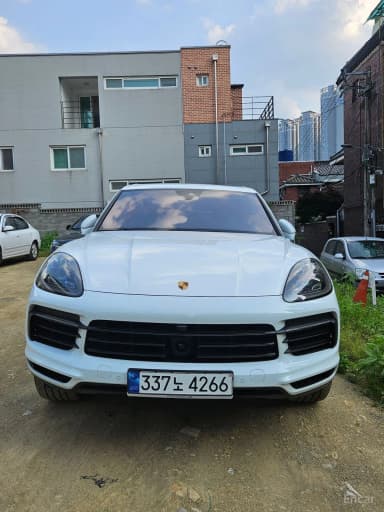 Cayenne (PO536)