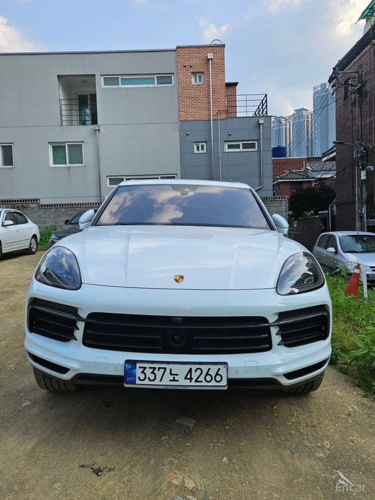 Cayenne (PO536)