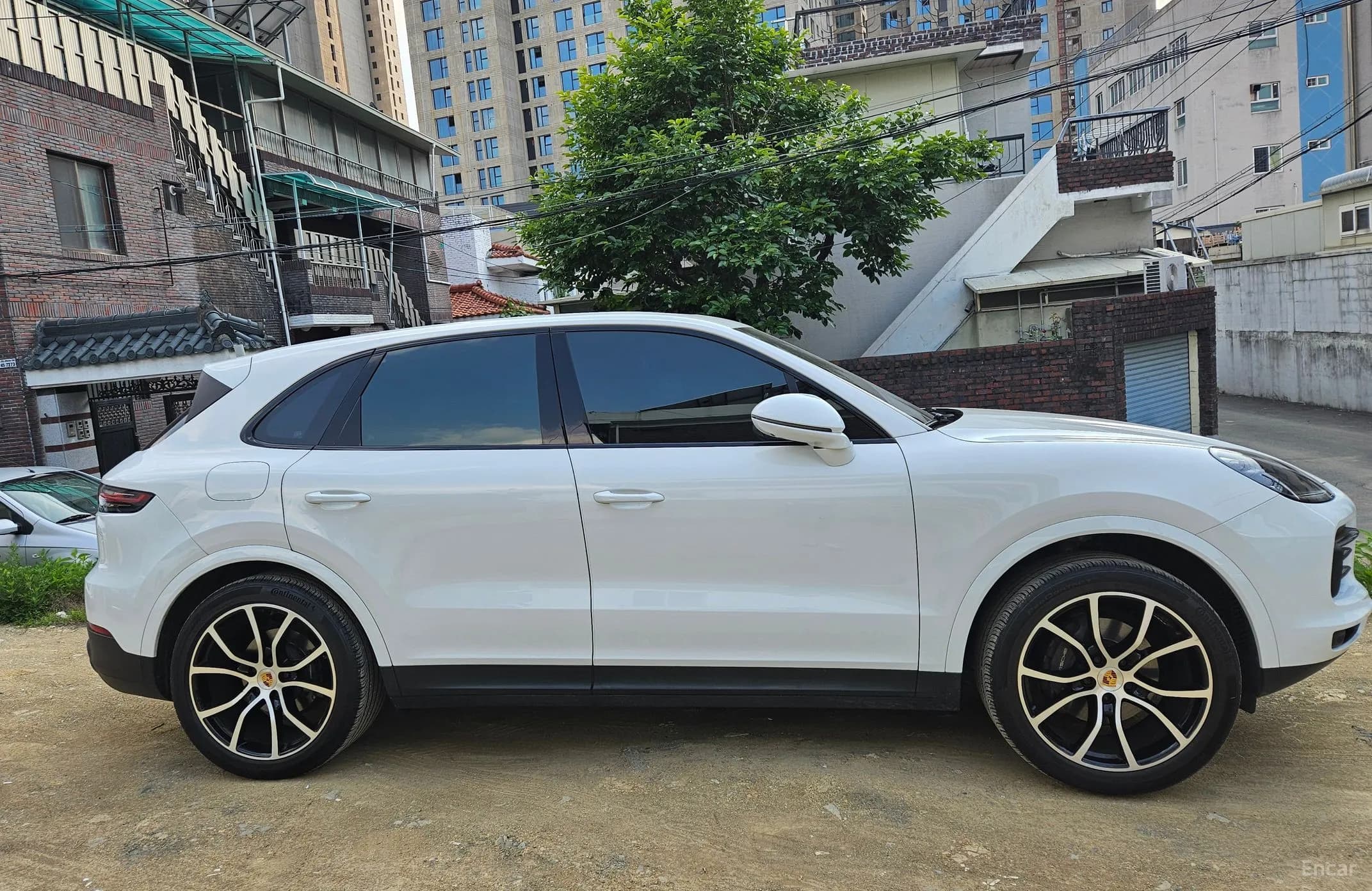 Cayenne (PO536)