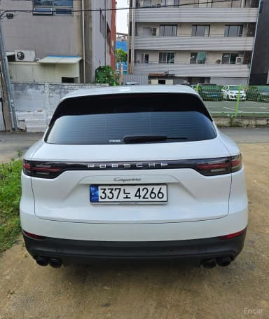 Cayenne (PO536)
