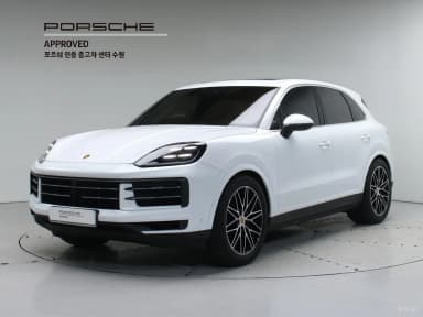 Cayenne (PO536)