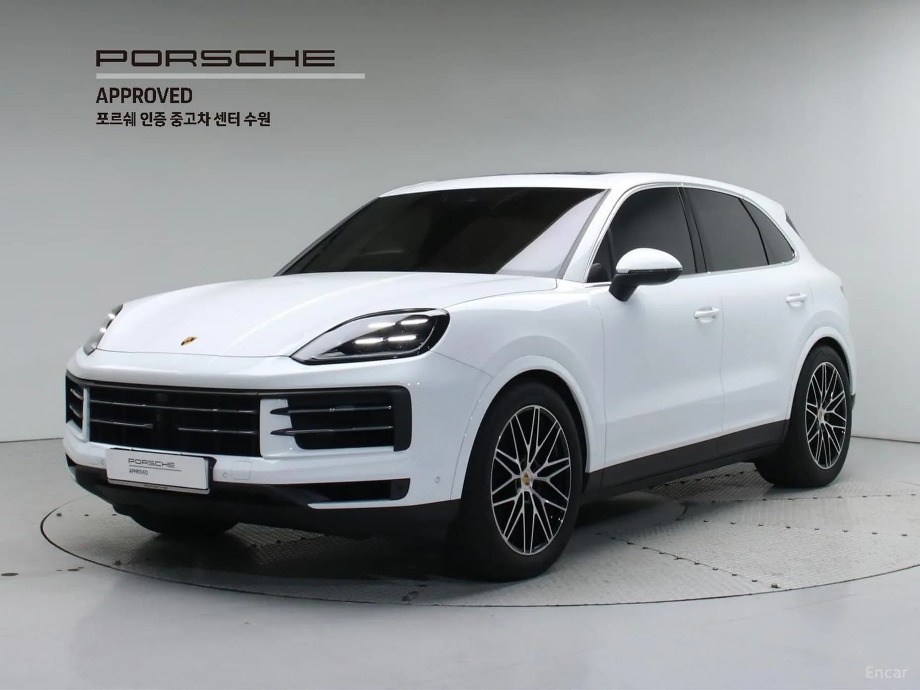 Cayenne (PO536)