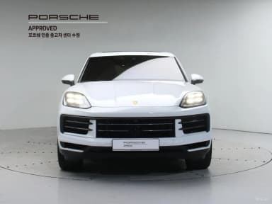 Cayenne (PO536)