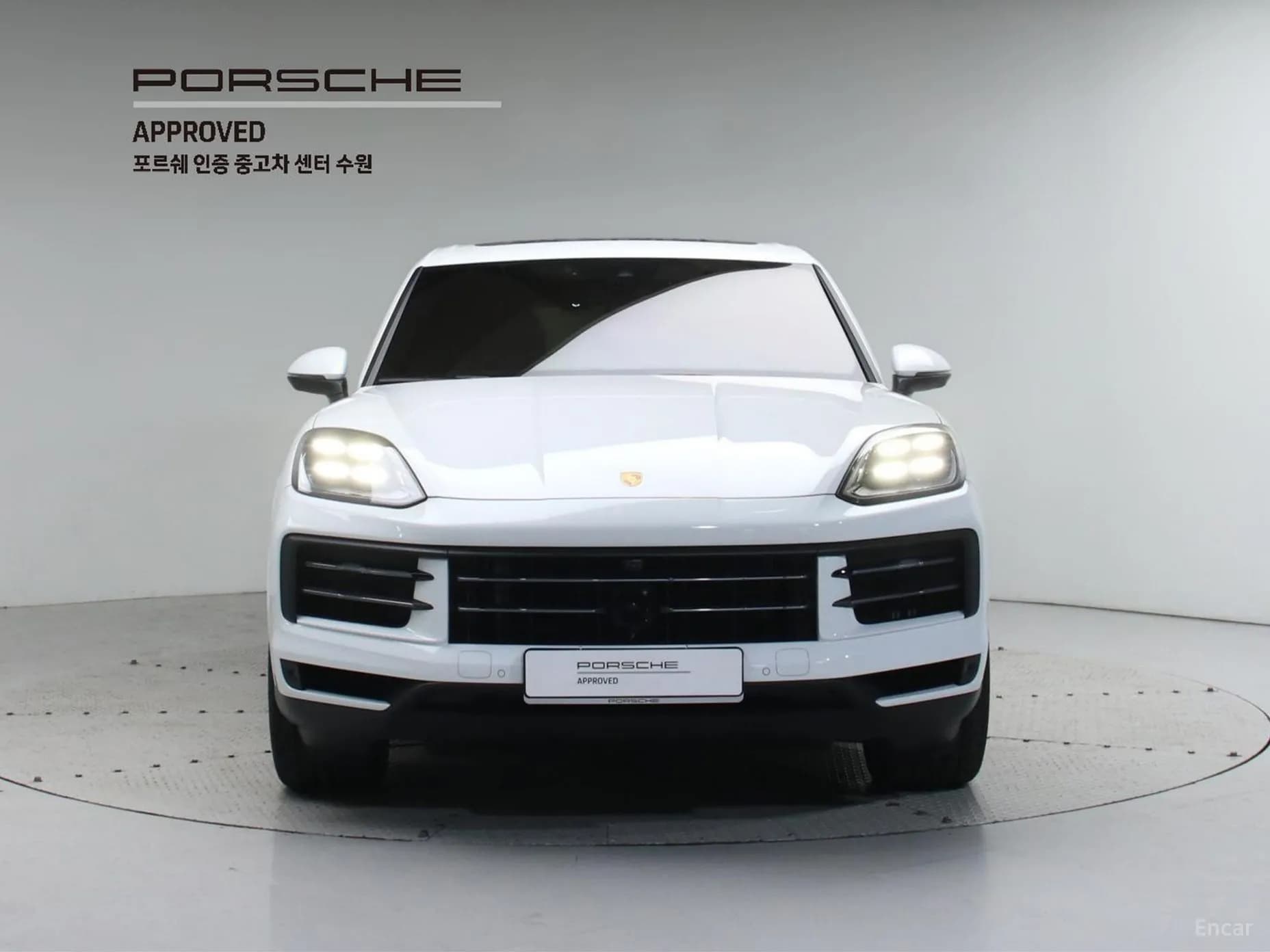 Cayenne (PO536)