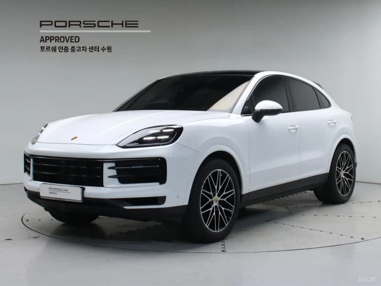 Cayenne (PO536)
