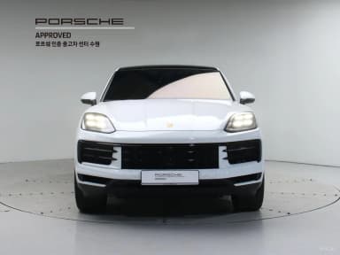 Cayenne (PO536)