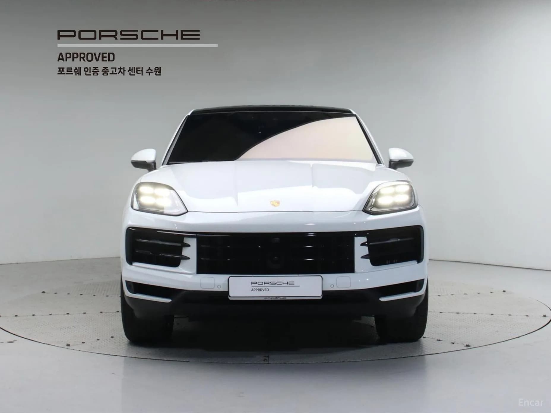 Cayenne (PO536)