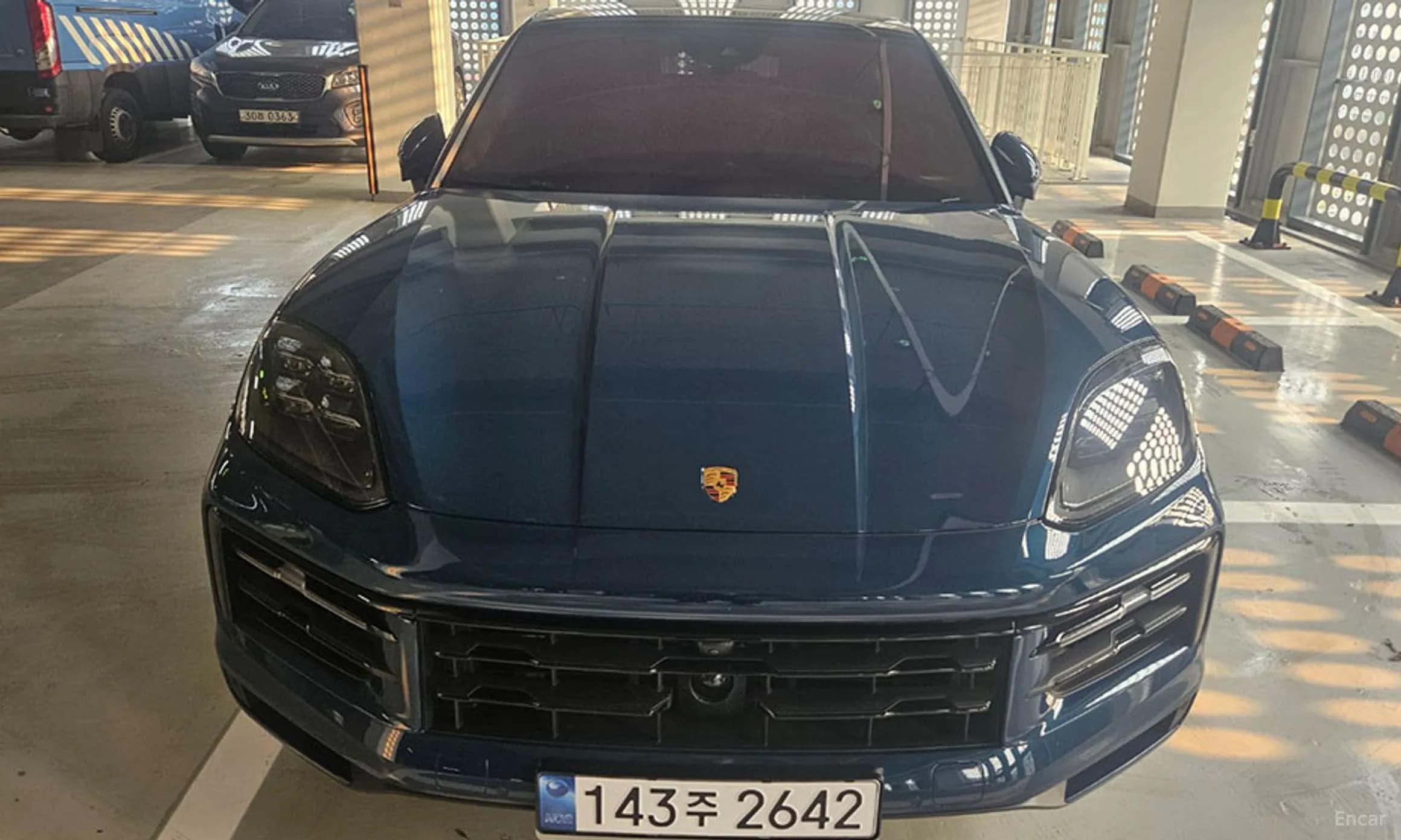 Cayenne (PO536)