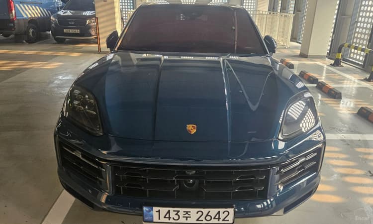 Cayenne (PO536)