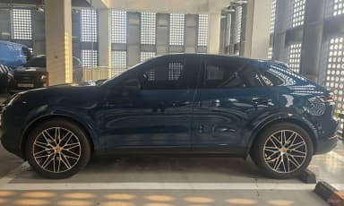Cayenne (PO536)