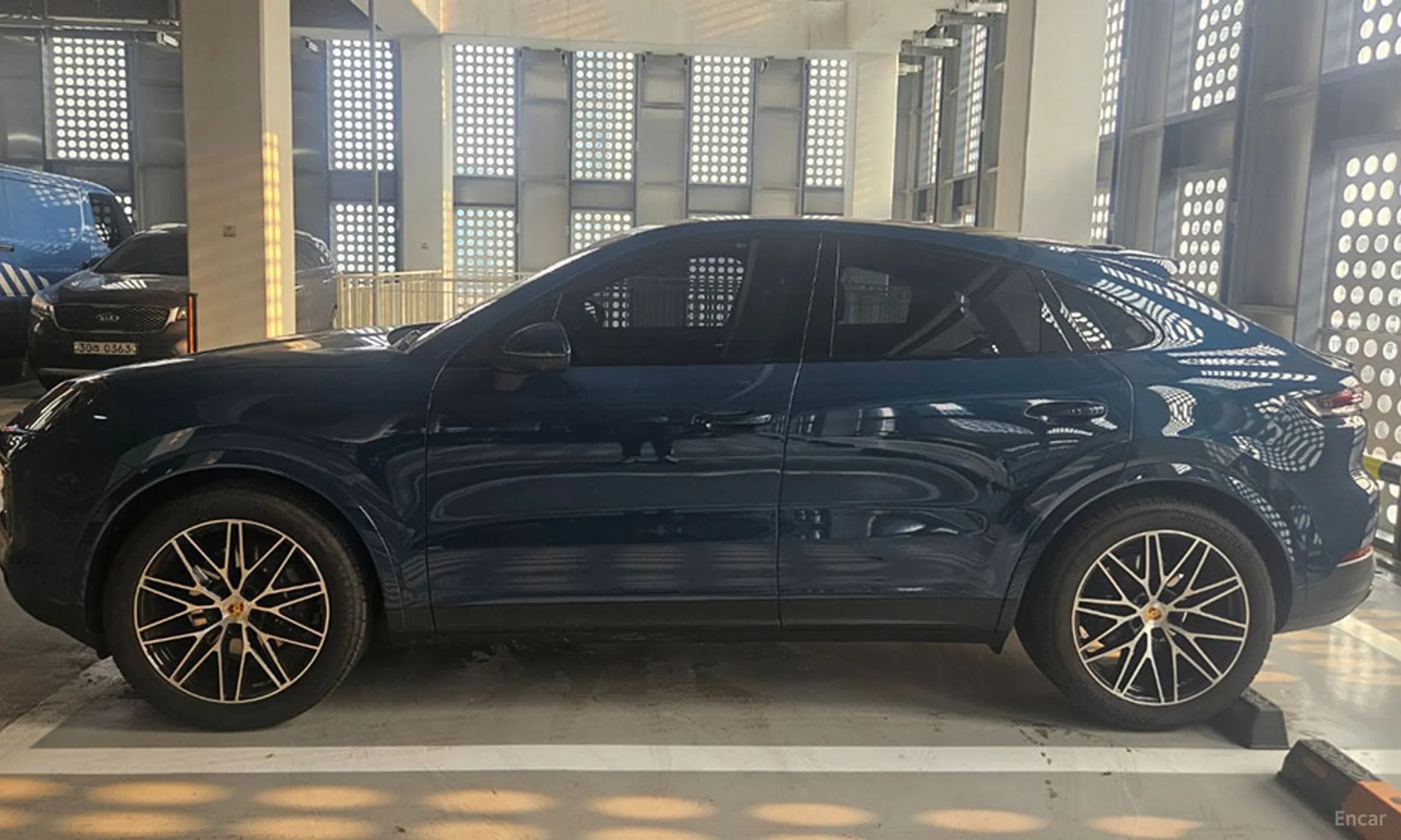 Cayenne (PO536)