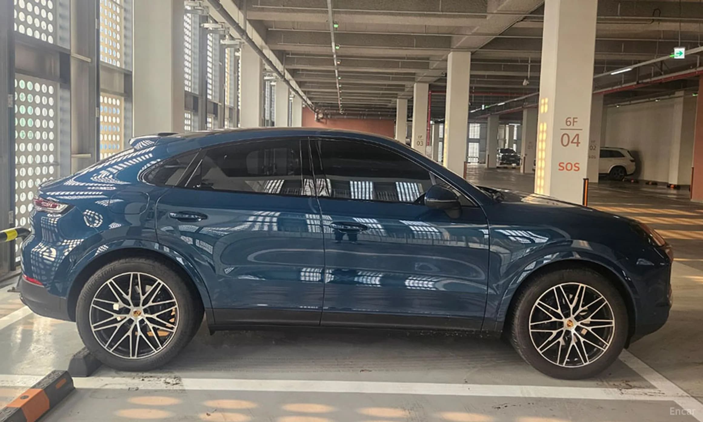 Cayenne (PO536)