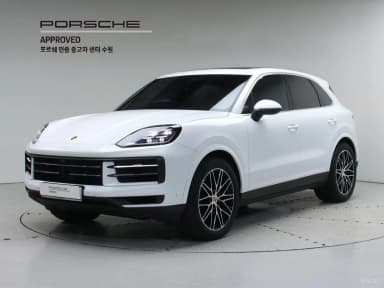 Cayenne (PO536)