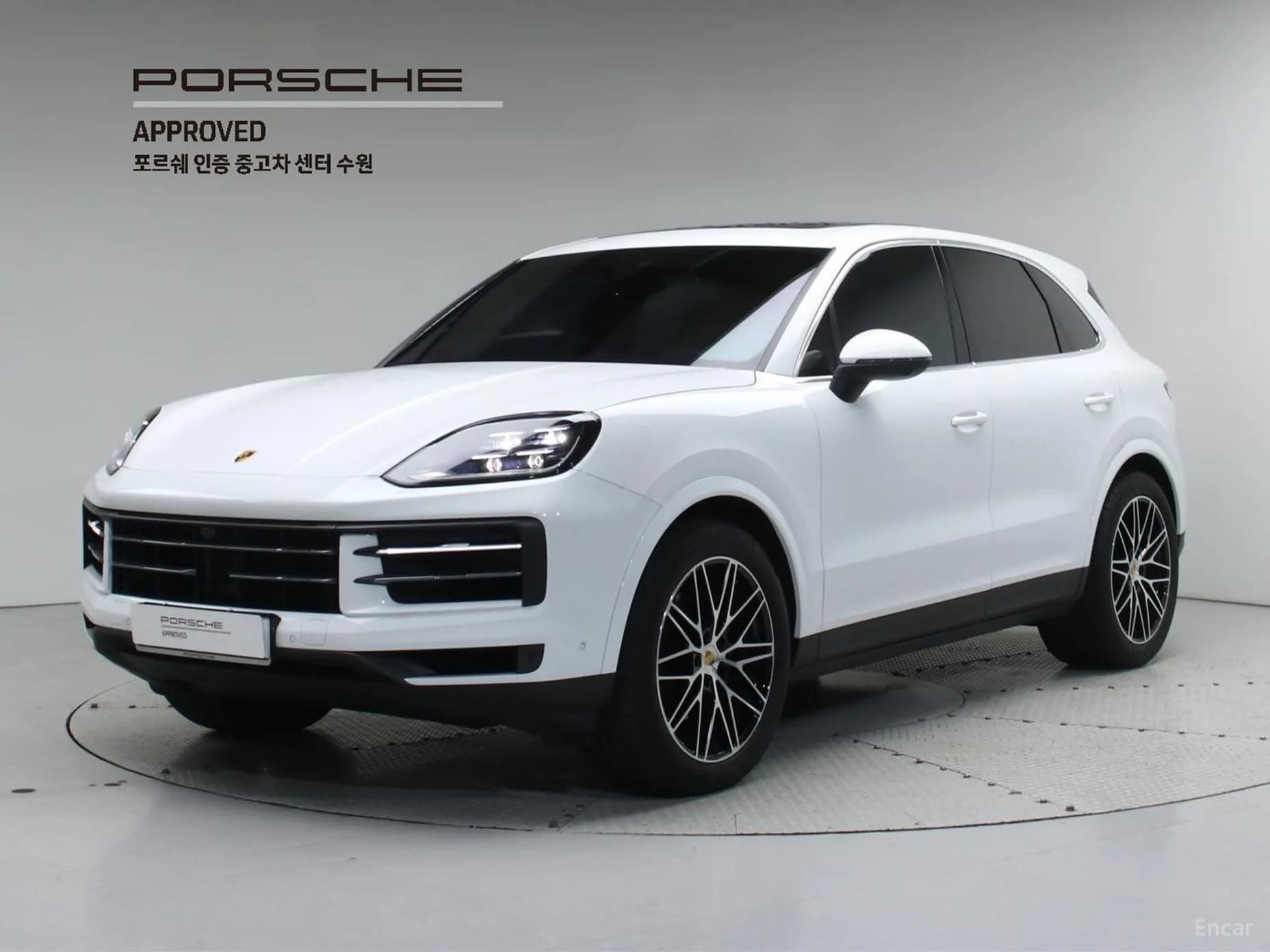 Cayenne (PO536)