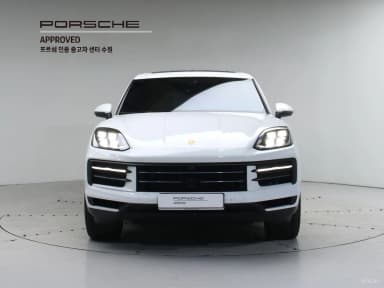 Cayenne (PO536)