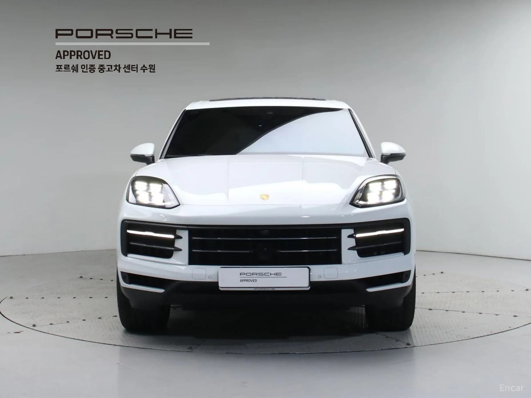 Cayenne (PO536)
