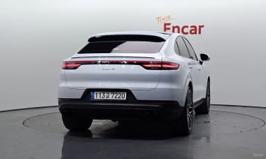 Cayenne (PO536)