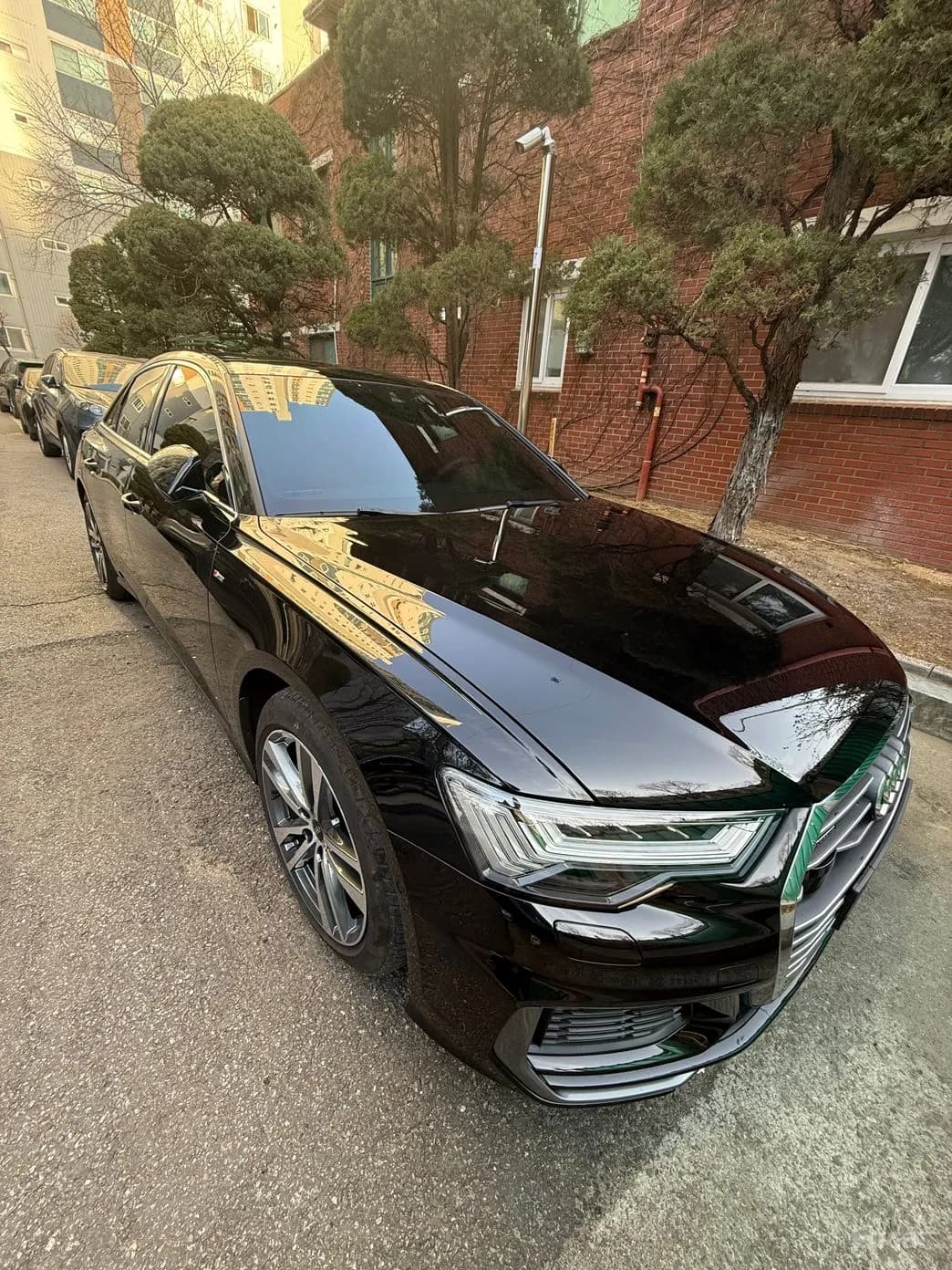 A6 (C8)