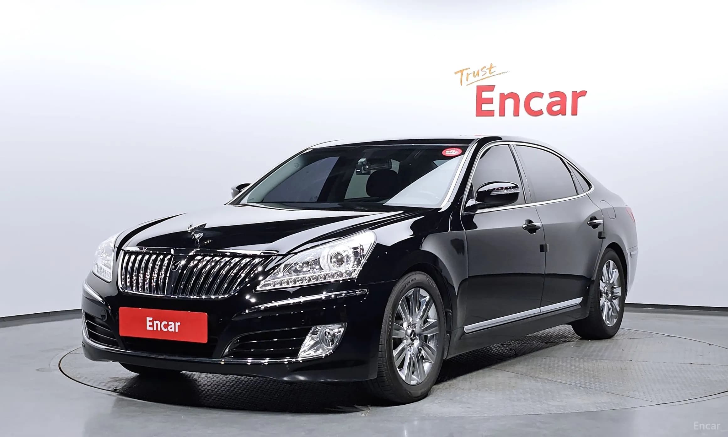 Equus (new)