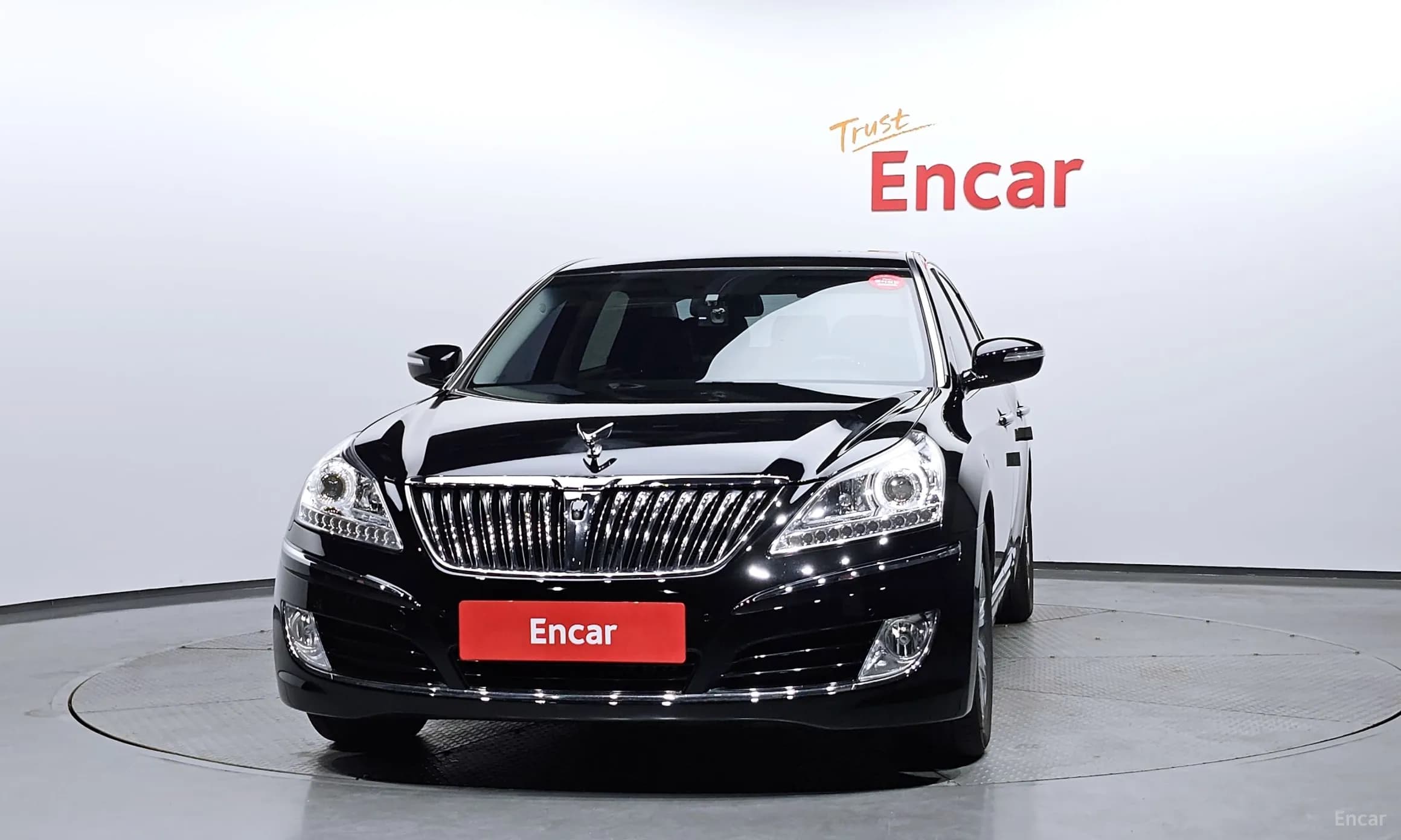 Equus (new)