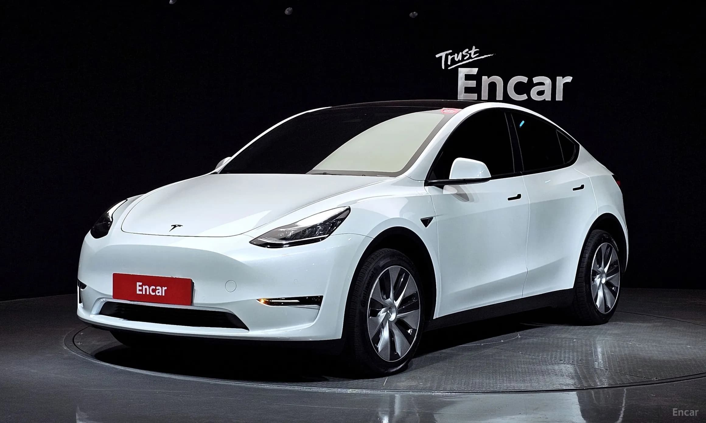 Model Y
