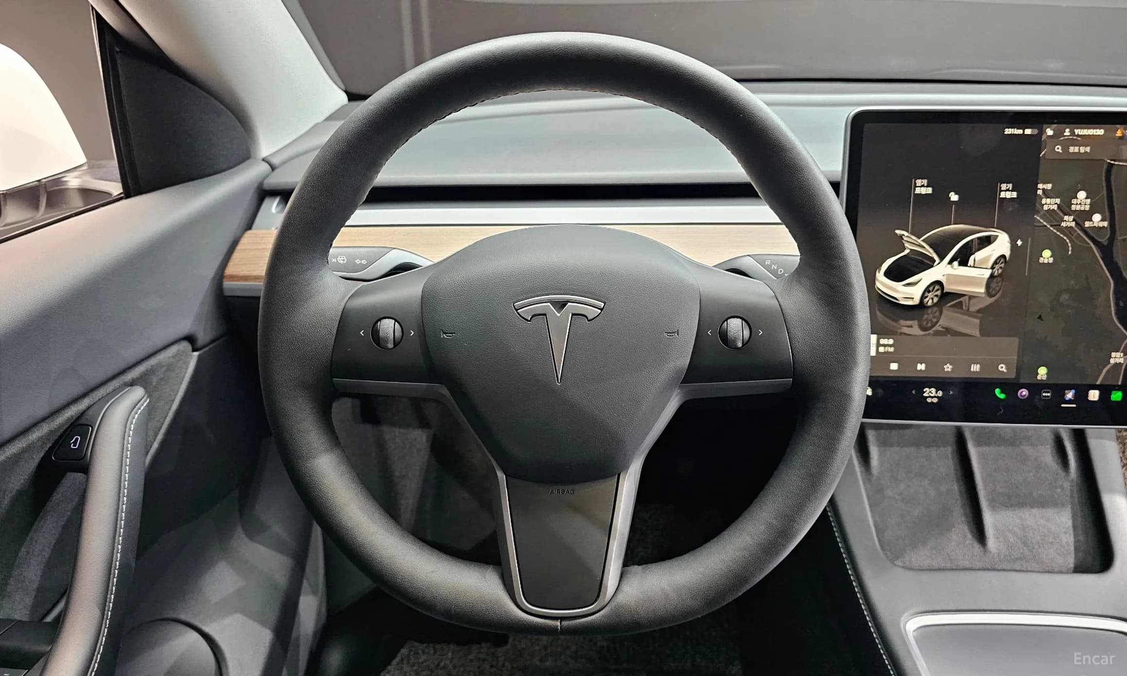 Model Y
