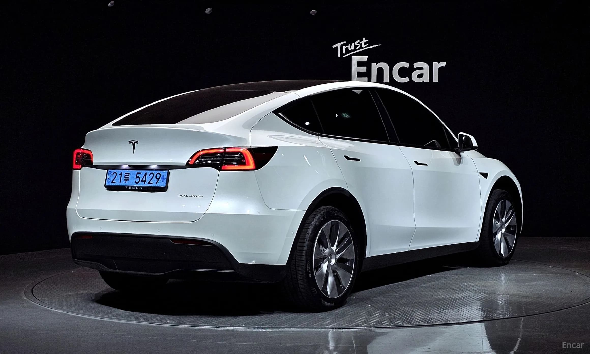 Model Y