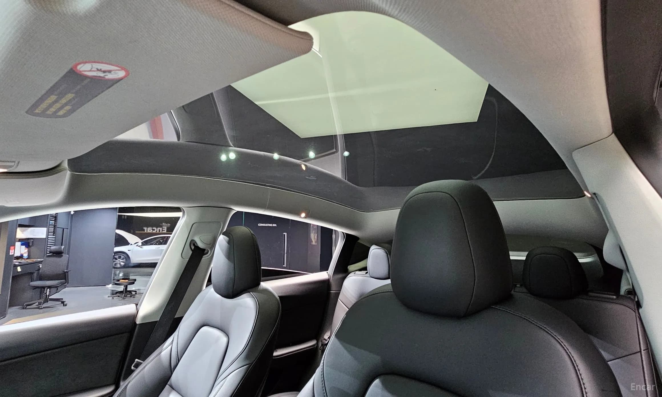 Model Y