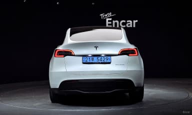 Model Y