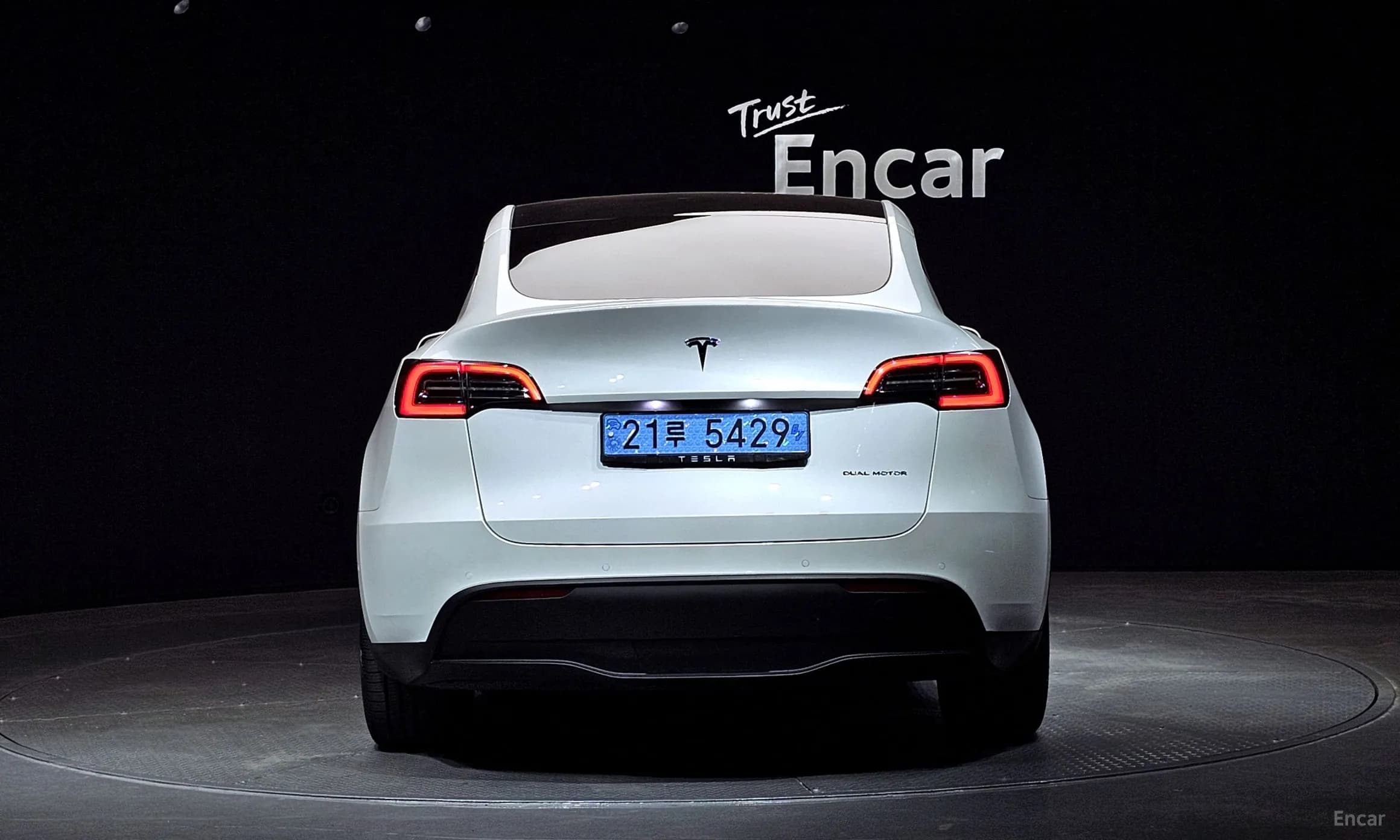 Model Y