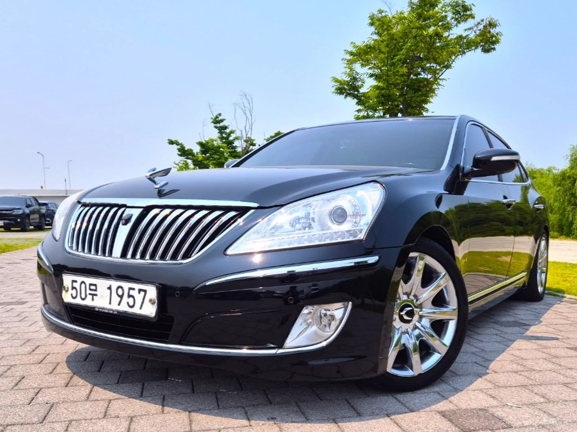 Equus (new)