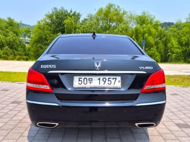Equus (new)