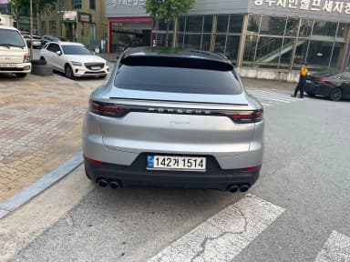 Cayenne (PO536)