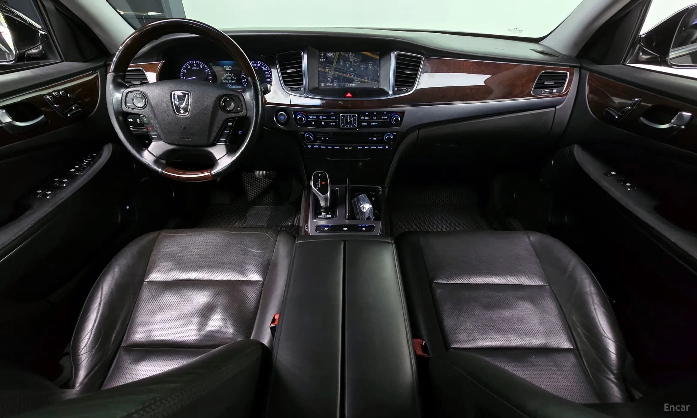 Equus (new)