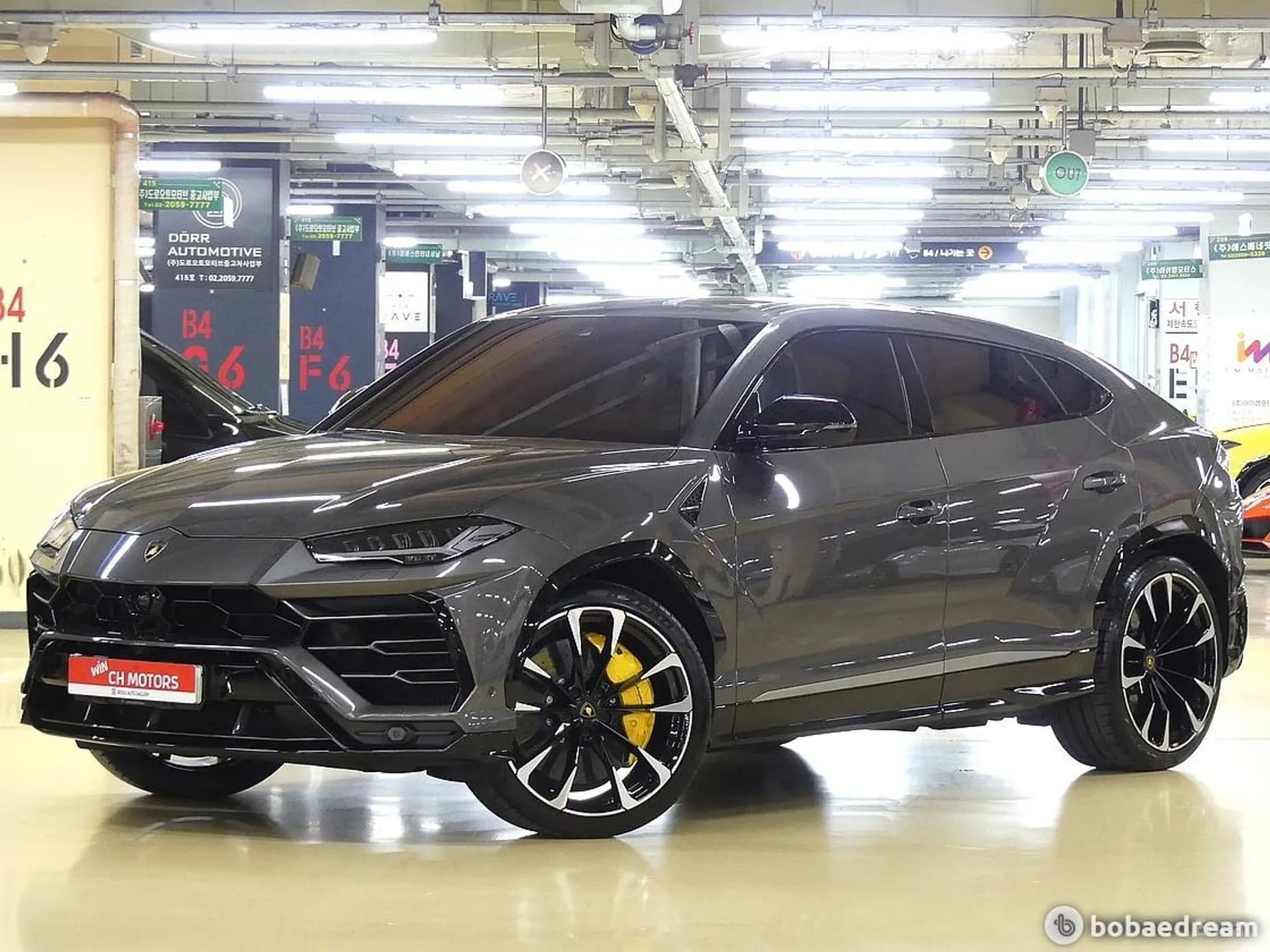 Urus