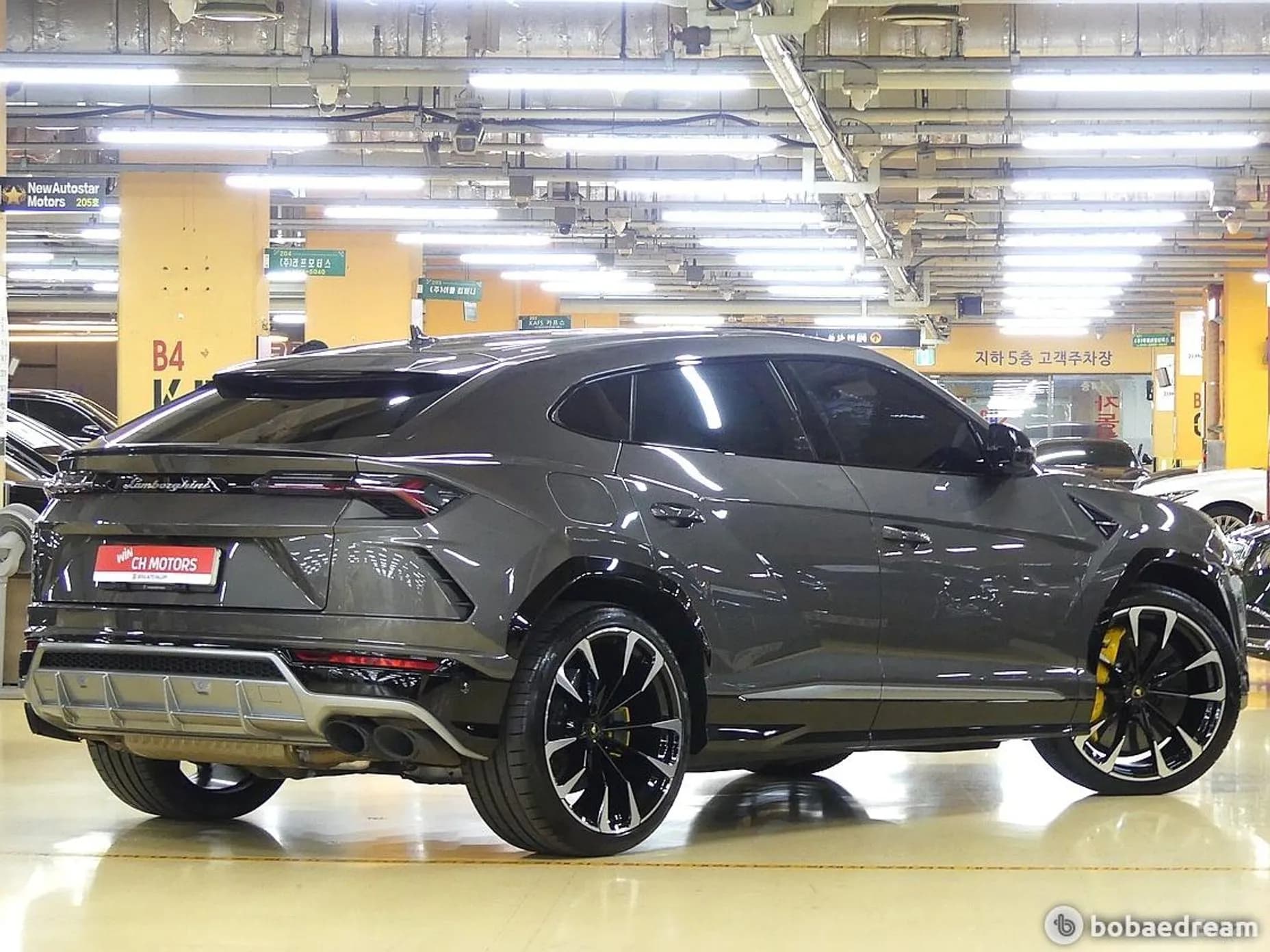 Urus