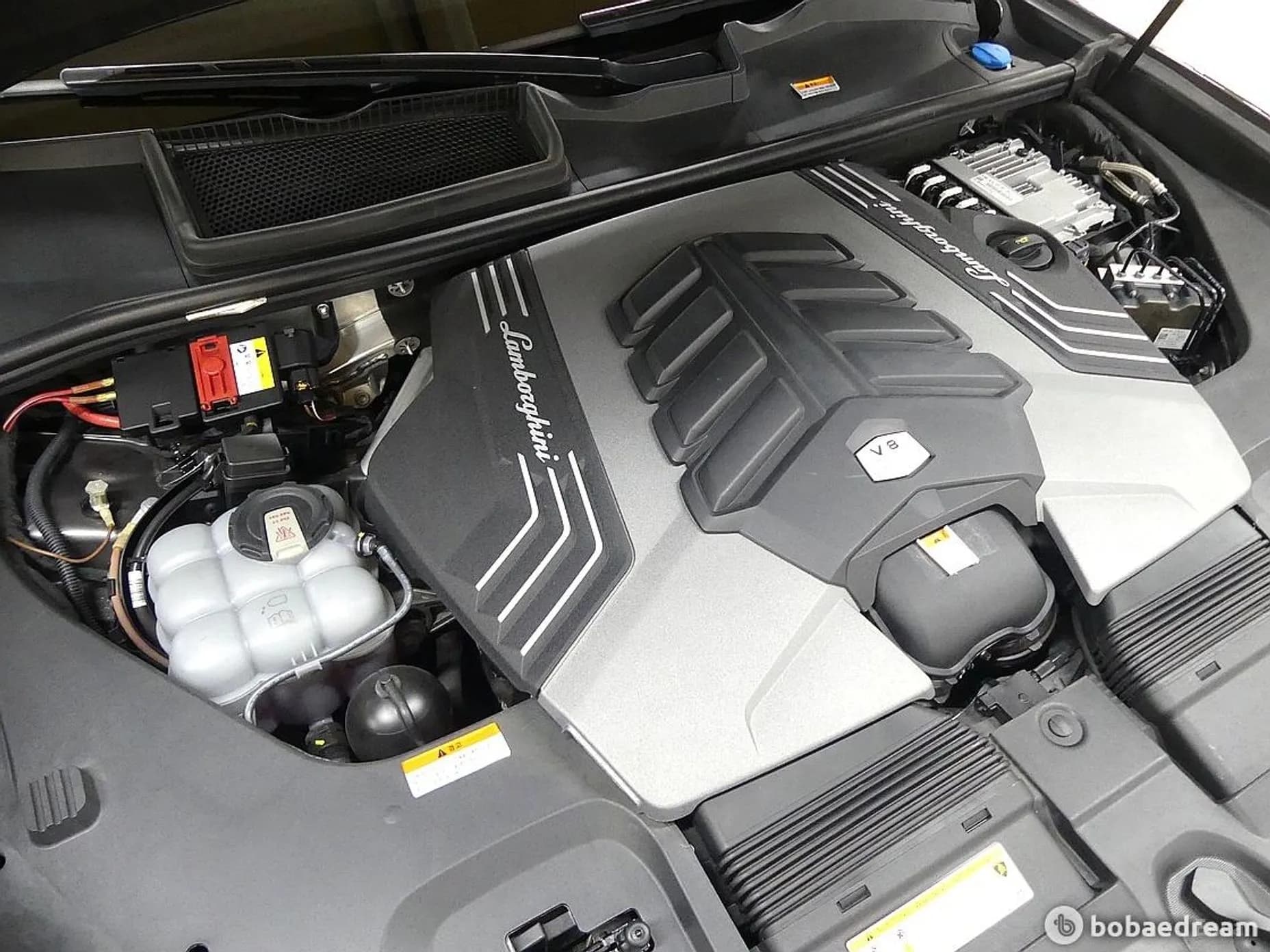 Urus
