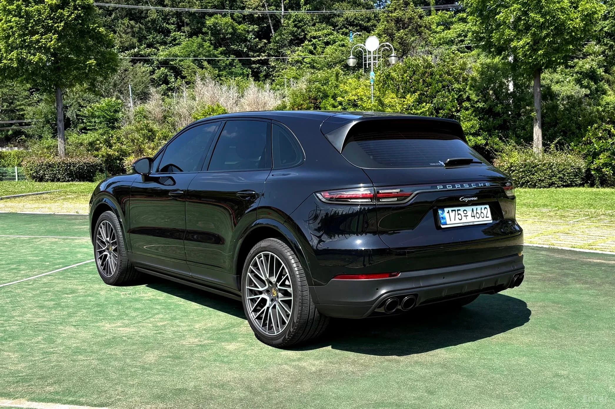 Cayenne (PO536)
