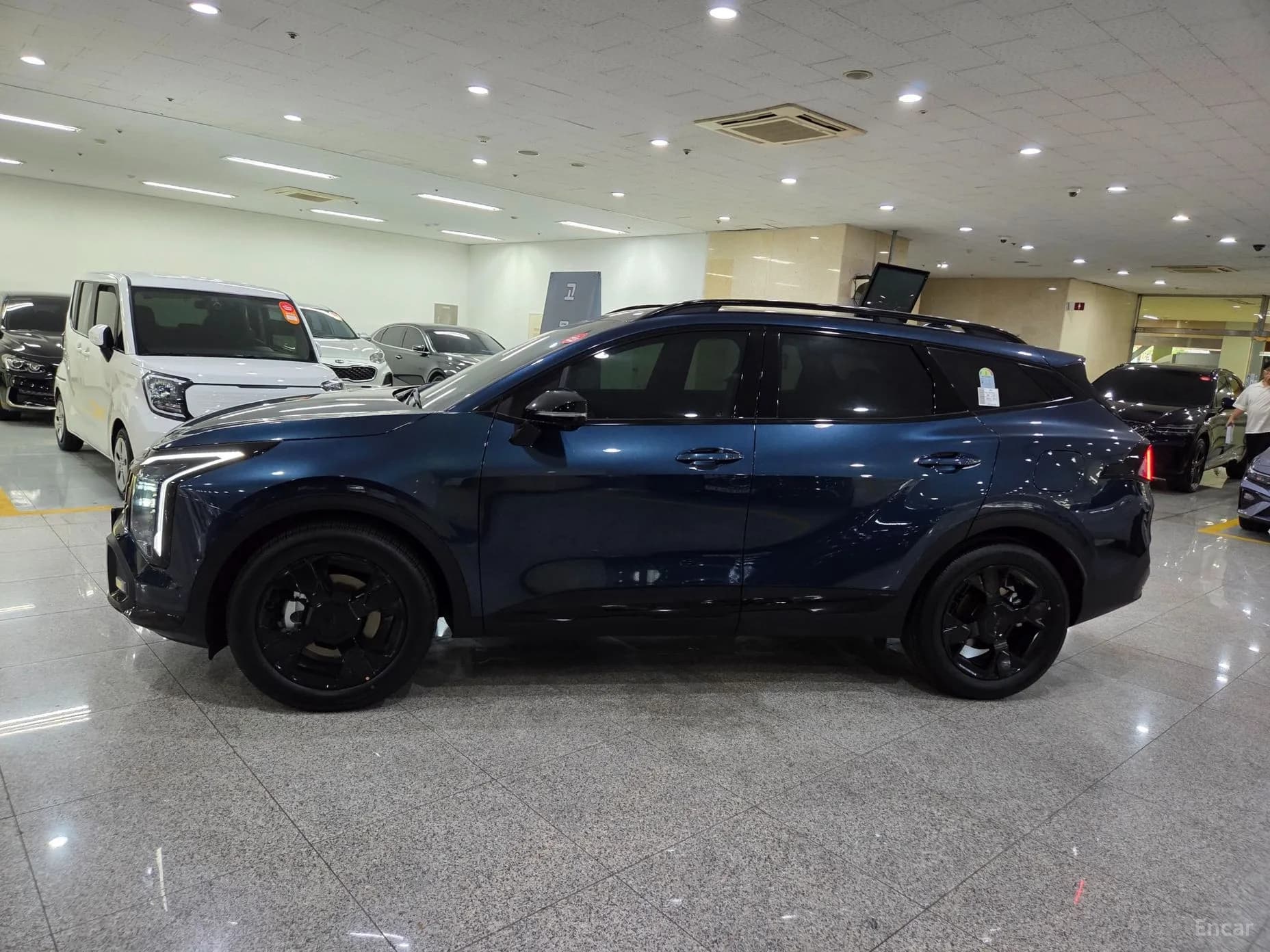 Sportage 5th Generation Hybrid