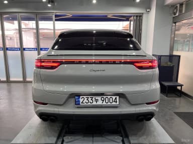 Cayenne (PO536)