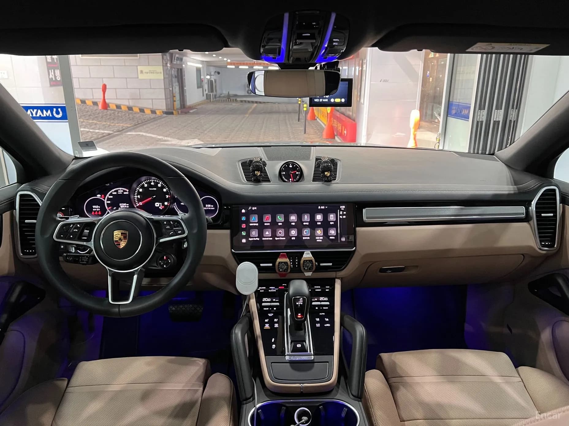 Cayenne (PO536)