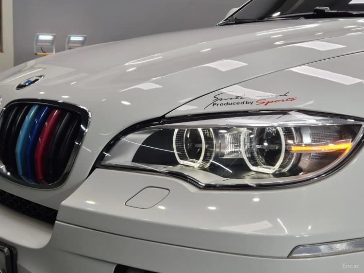 X6 (E71)